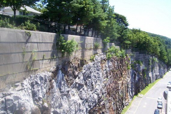 Steep rocky cliff beside a road, topped with concrete retaining wall and green trees
