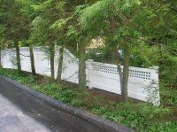 White fence and shrubs along a roadside, partly hidden by tall green trees.