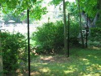 Green garden with a black metal fence, dense bushes, and a paved path under leafy trees