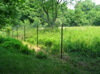 Chain-link fence in a lush green park with trees and grass in bright sunlight