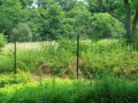 Green wooded field with tall grass and two black fence posts in the foreground