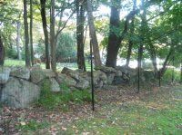 Stone wall in a leafy wooded park with trees and scattered fallen leaves