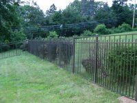 Black metal fence along a grassy hillside with trees and shrubs in the background