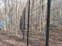 Wooded hillside with a black wire fence running through leafless trees in late autumn.