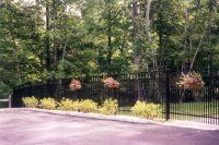 Black metal fence along a paved road, with shrubs and trees in the background