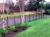 Backyard with black metal fence, green lawn, and trees near a residential house