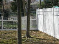 White picket fence and tall white privacy fence in a wooded backyard area