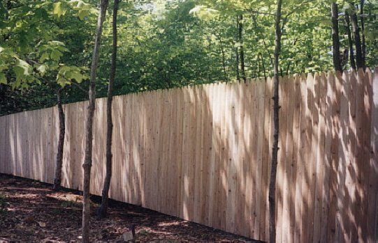 Tall wooden privacy fence along a wooded path with sunlight and tree shadows.