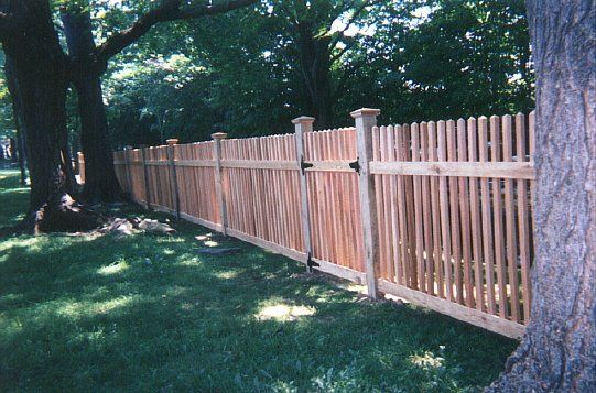 Wooden fence along a grassy yard with large trees and dappled sunlight