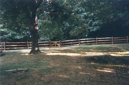 Wooded yard with a large tree, grassy ground, and a wooden fence in the background