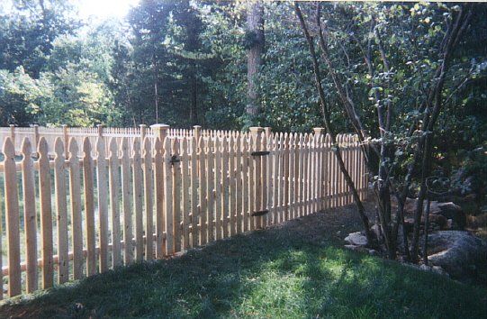 Wooden picket fence along a grassy, tree-lined backyard in sunlight