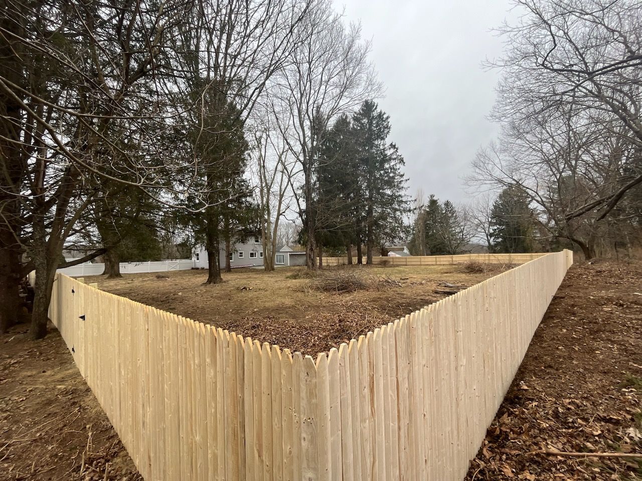 Wooden fence enclosing a barren yard with trees in a wooded suburban area