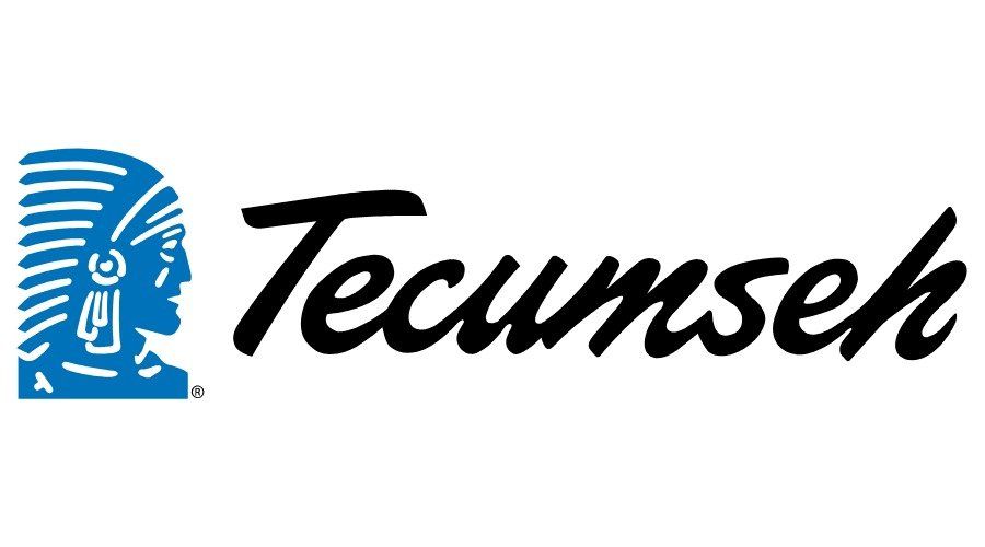Logotipo de Tecumseh con un icono de perfil azul y texto en cursiva negra.