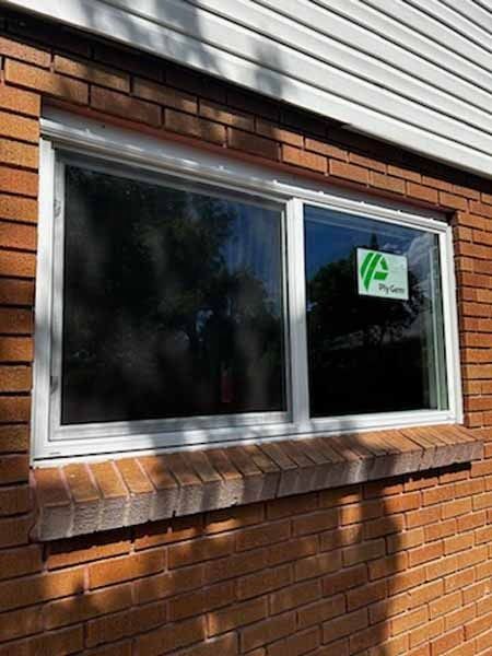 windows