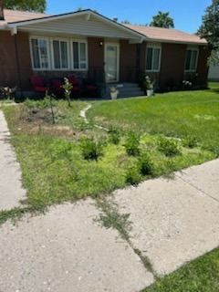 xeriscaping