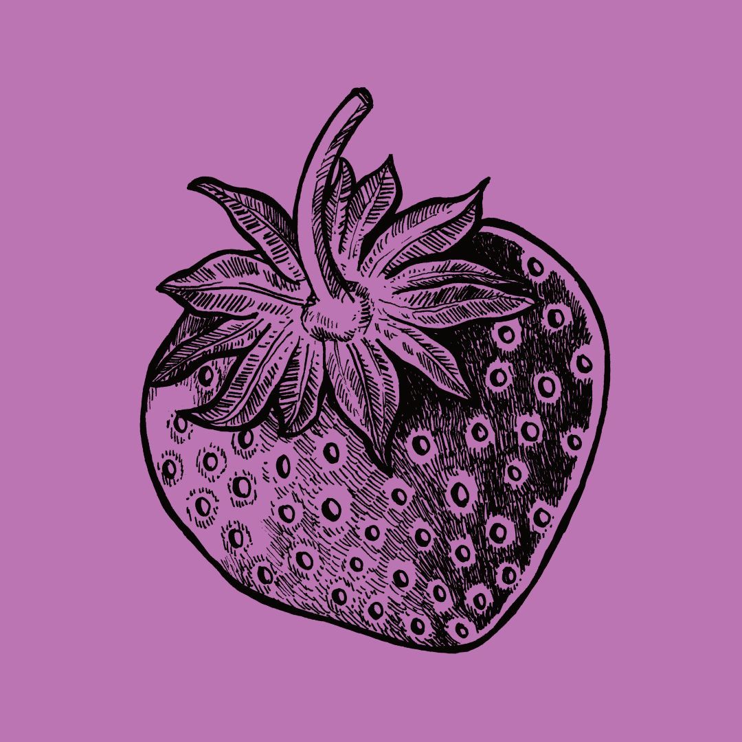 Schwarze Erdbeerillustration auf violettem Hintergrund.