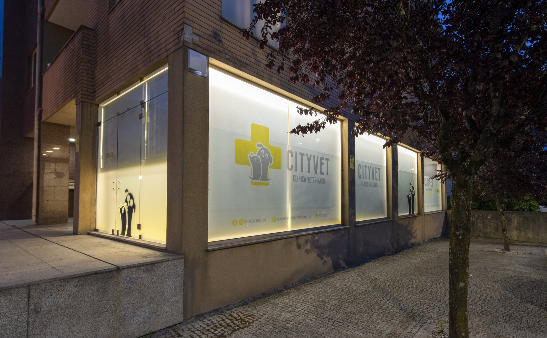 Cityvet Clinica Veterinaria