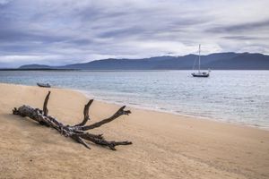 Tree Branch is Laying on a Sandy Beach With a Sailboat in the Distance — Supercare Gold Coast in Hope Island, QLD