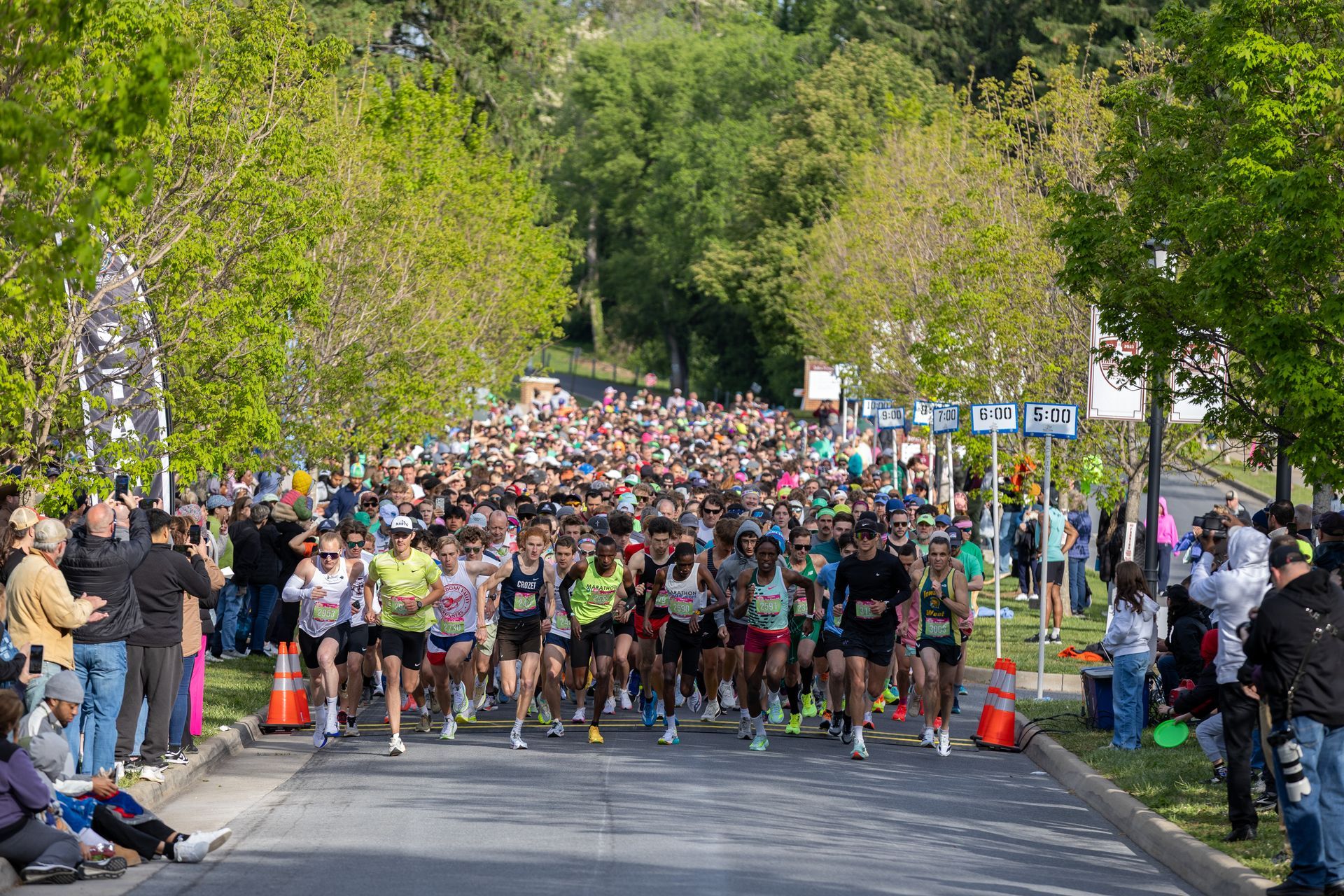 Crowded road race start on a tree-lined street, runners packed behind the starting line.