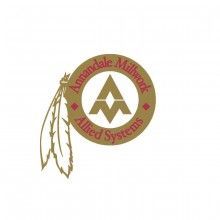 Appalachian Network Allied Systems logo with gold, maroon, and white circular emblem and feather graphic