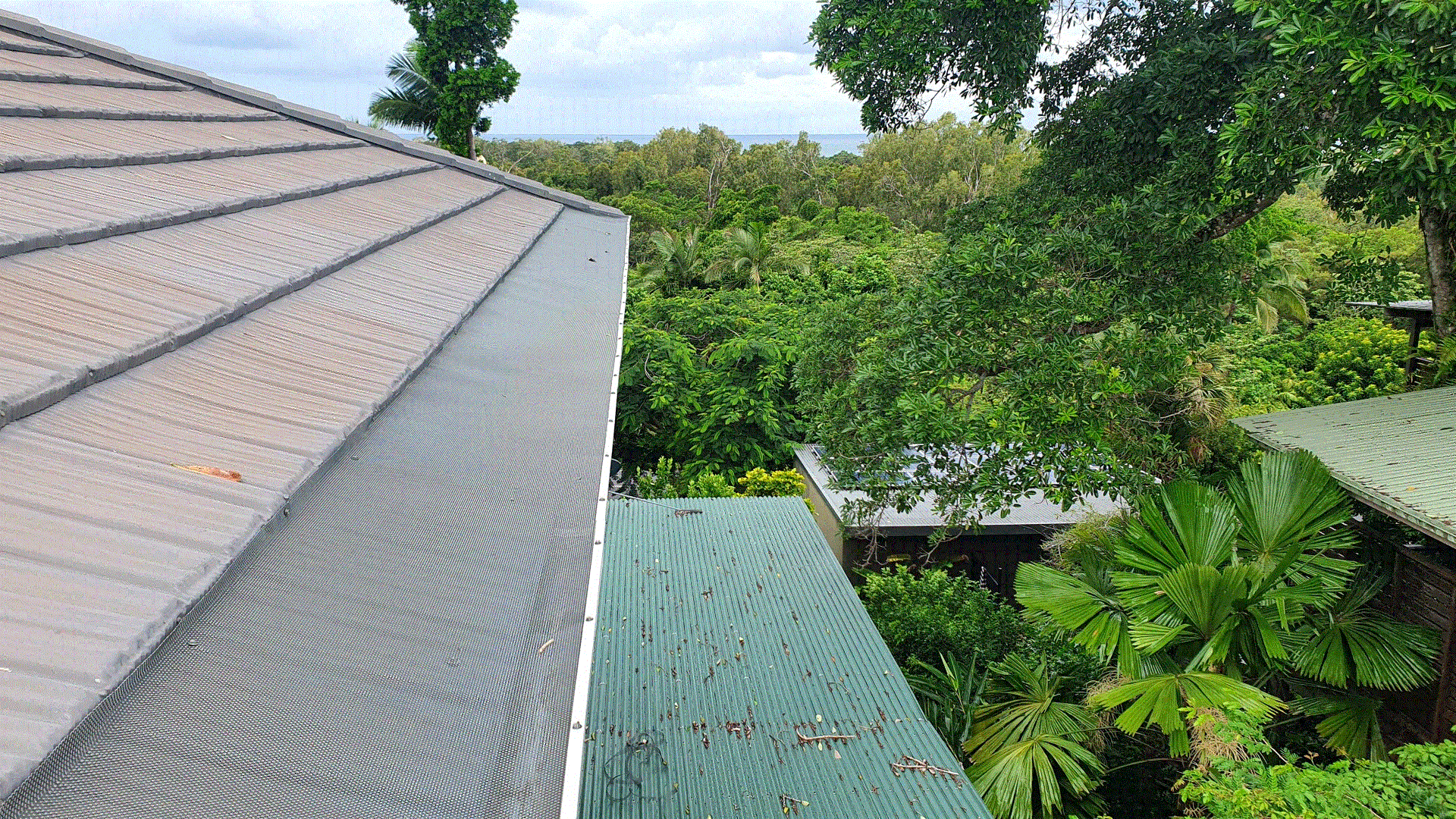 Overhead View of Rooftops; Brown Tiled Roof on Left, Green Roof on Bottom, Surrounded by Lush Green Foliage — All-Clear Gutter Guard NQ in Walkamin, QLD