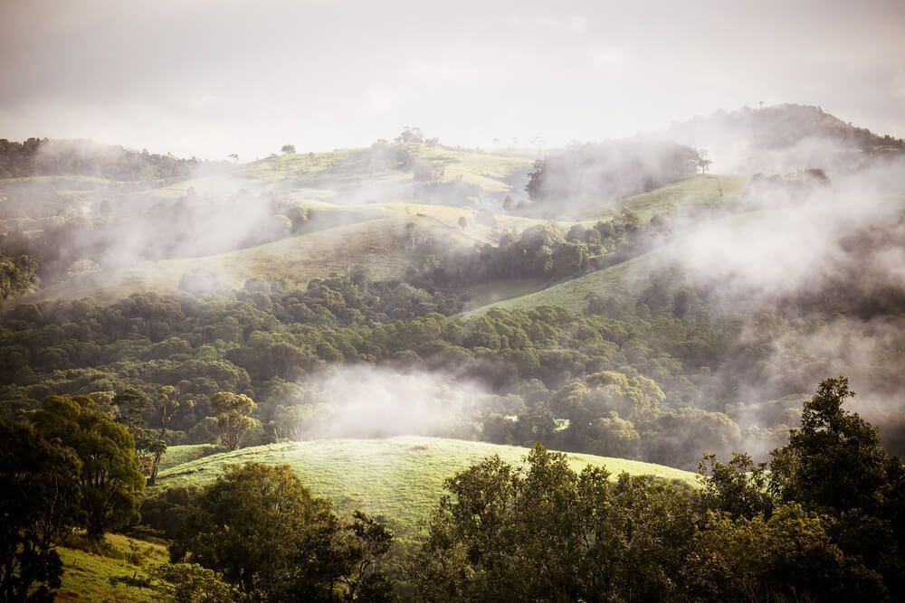 A Foggy Landscape With Trees And Hills In The Background — All-Clear Gutter Guard NQ in Tablelands, QLD