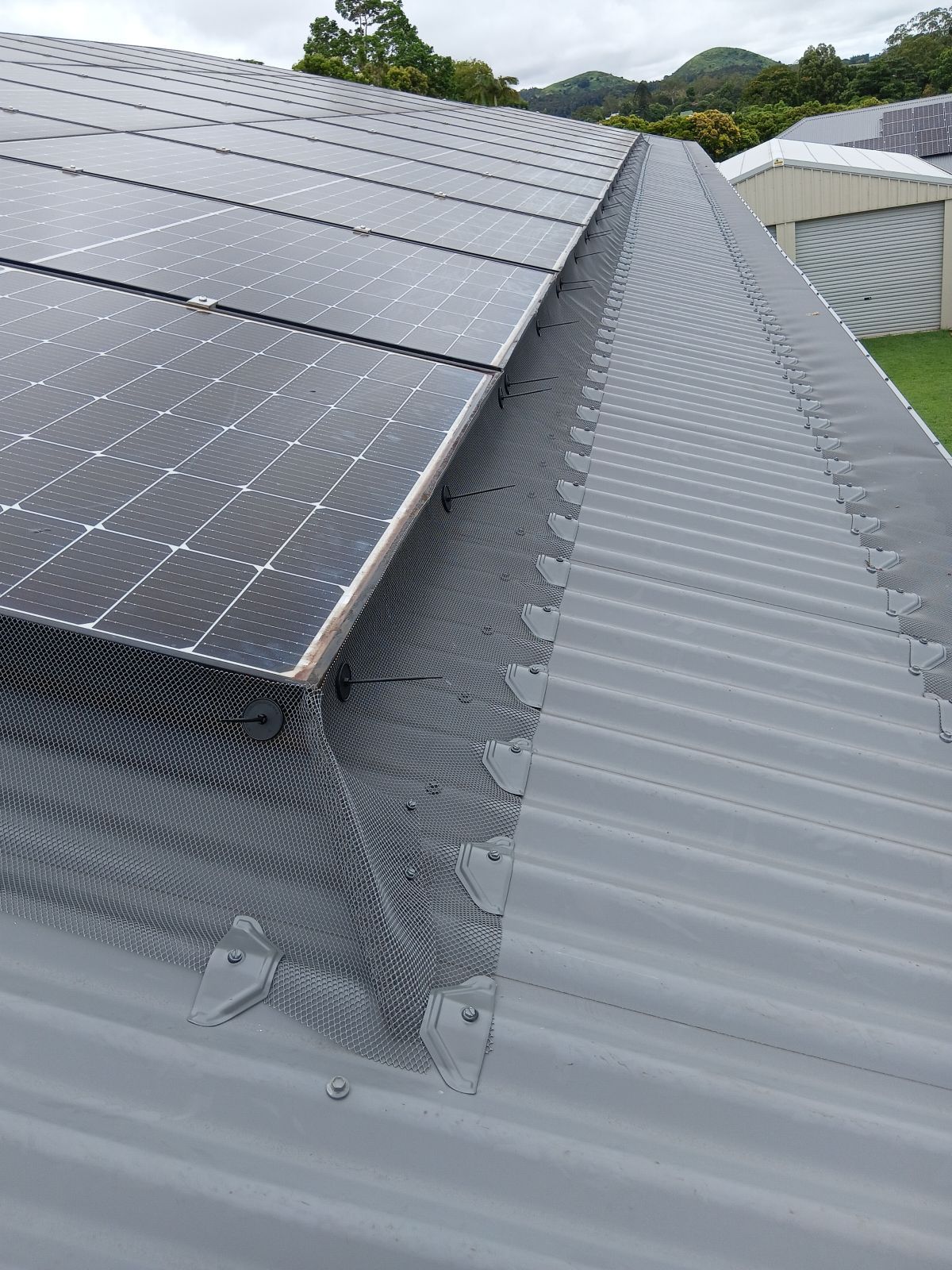 A Roof with A Lot of Solar Panels on It — All-Clear Gutter Guard NQ in Cairns, QLD