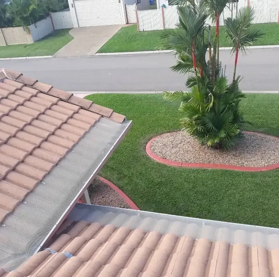 A Rooftop View of a Lush Green Yard With a Palm Tree in the Middle — All-Clear Gutter Guard NQ in Tablelands, QLD