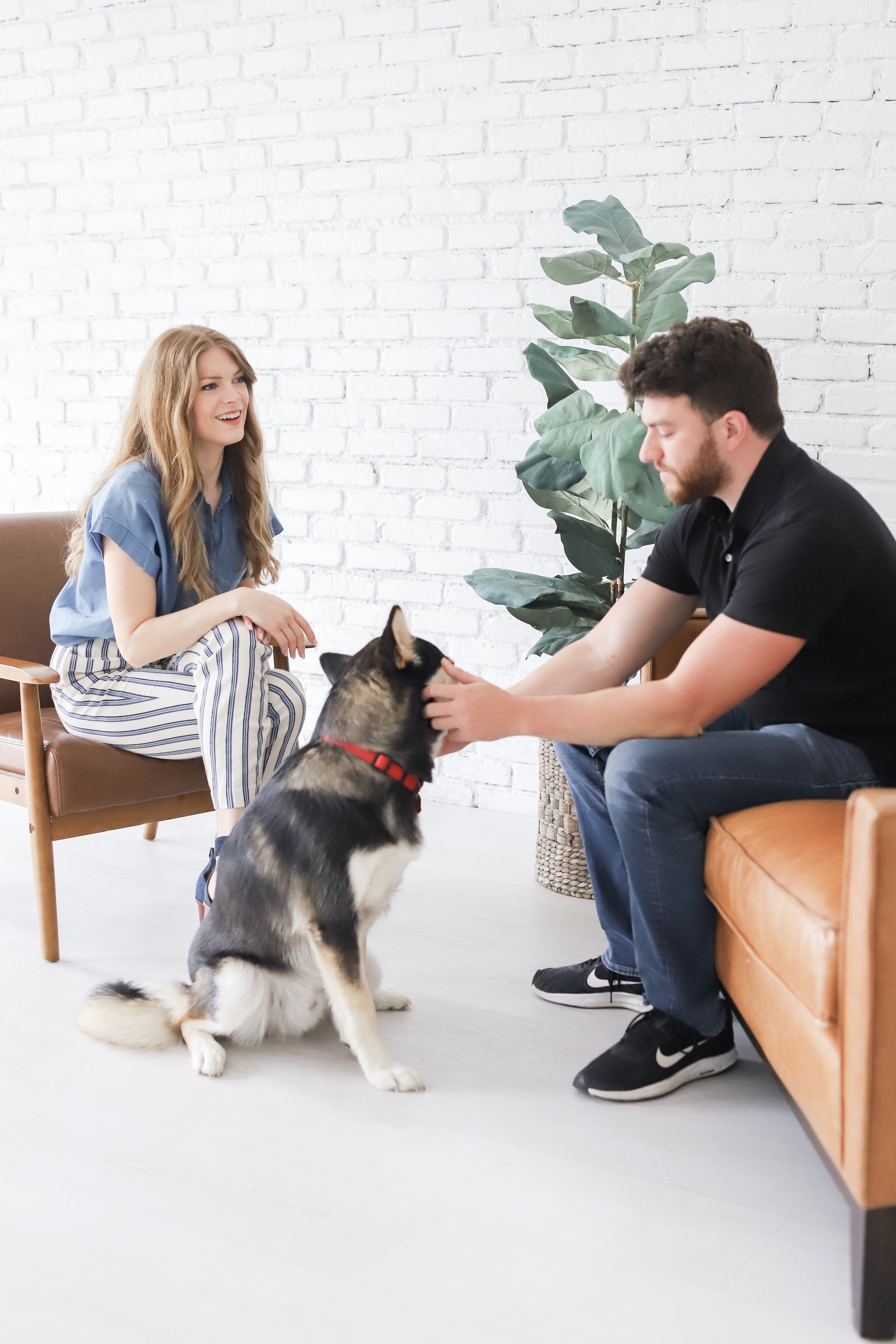 A man and a woman are sitting on a couch petting a therapy dog in Grapevine Texas.
