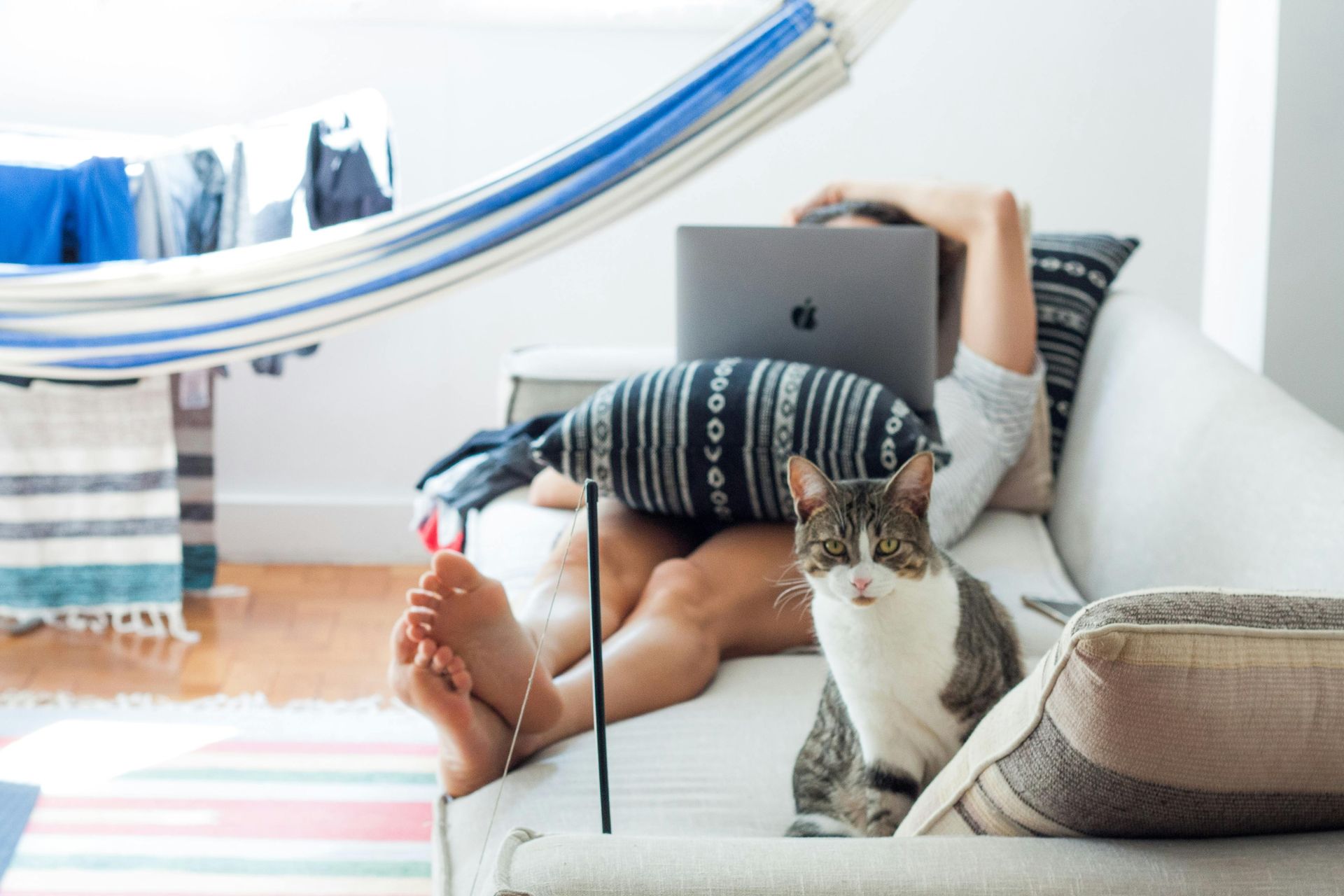 Person on a couch working on a laptop with a cat; hammock and colorful rug in the background.