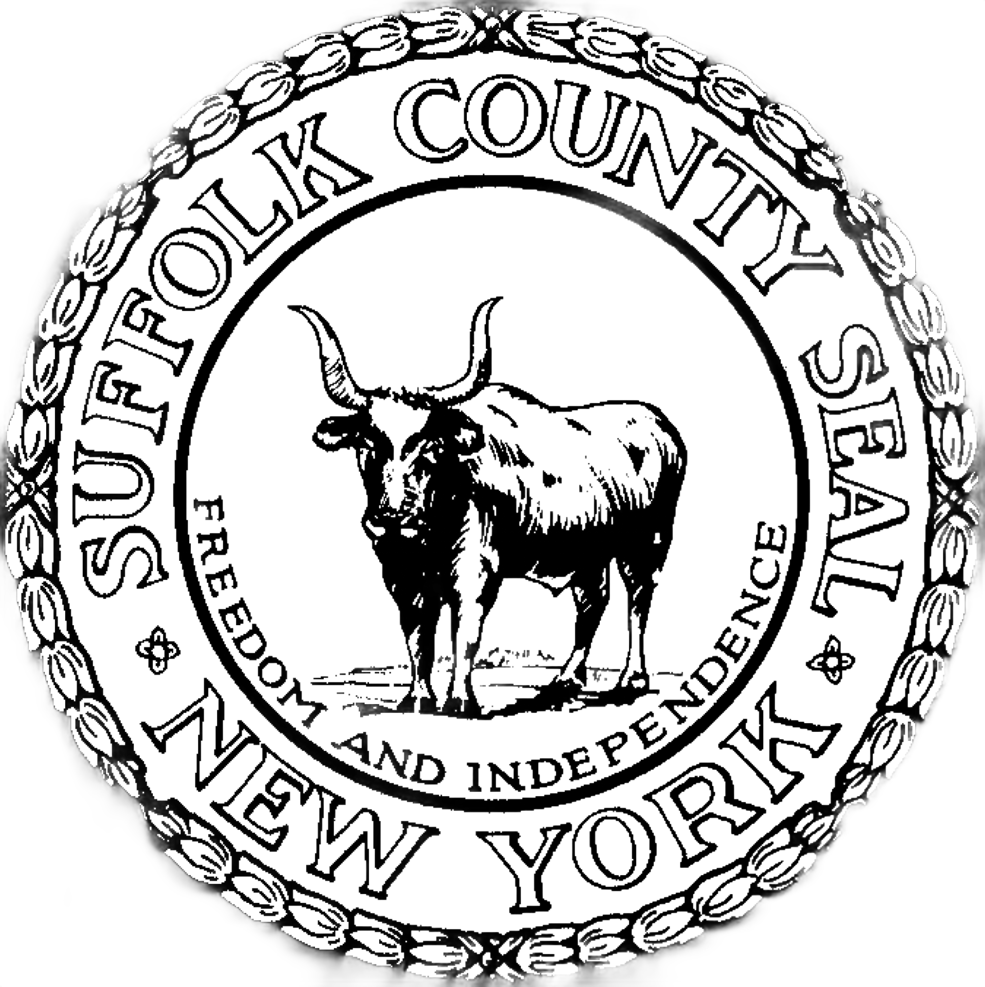 Suffolk County NY seal, Long Island property tax grievance and assessment appeal services for Suffolk property owners
