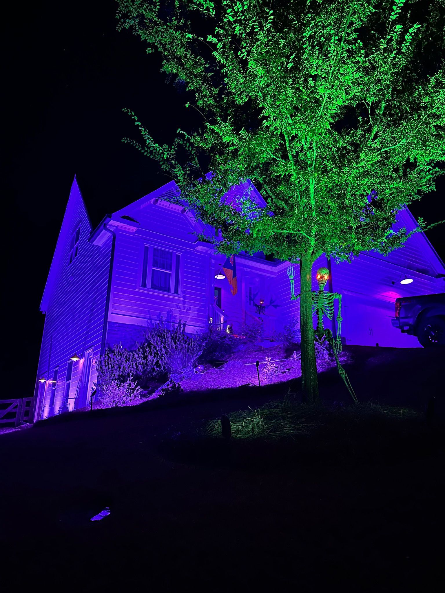 House and tree lit in bright purple and green at night