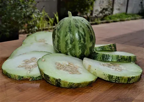Carosello di manduria