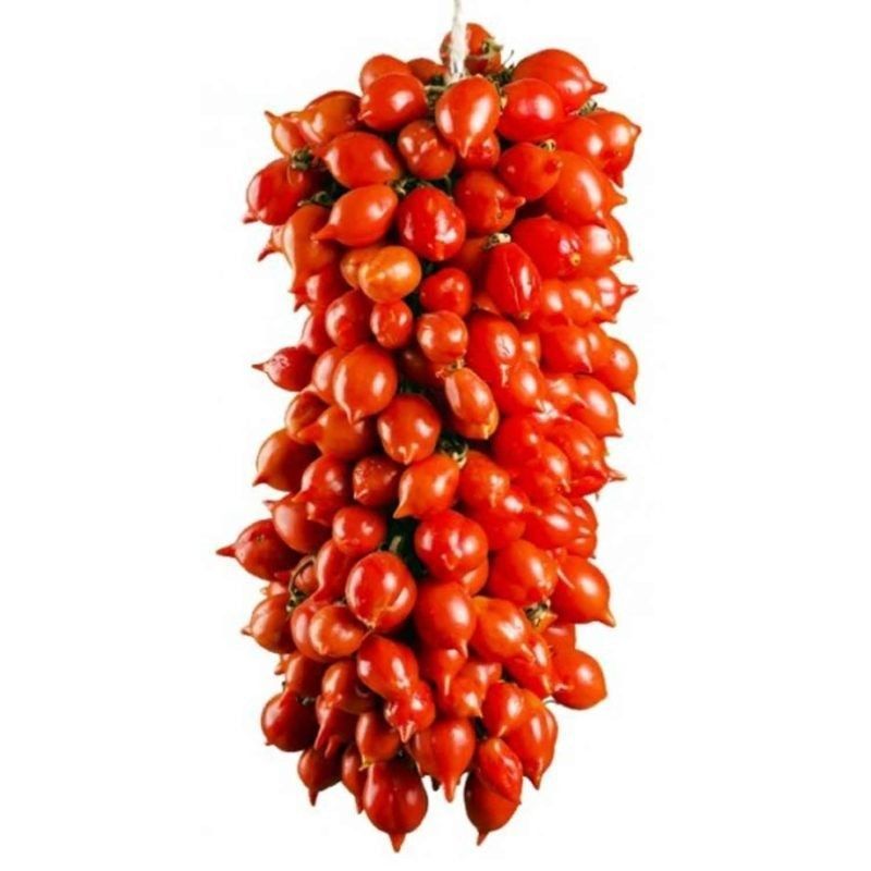 Pomodori invernali rosso con il pizzo