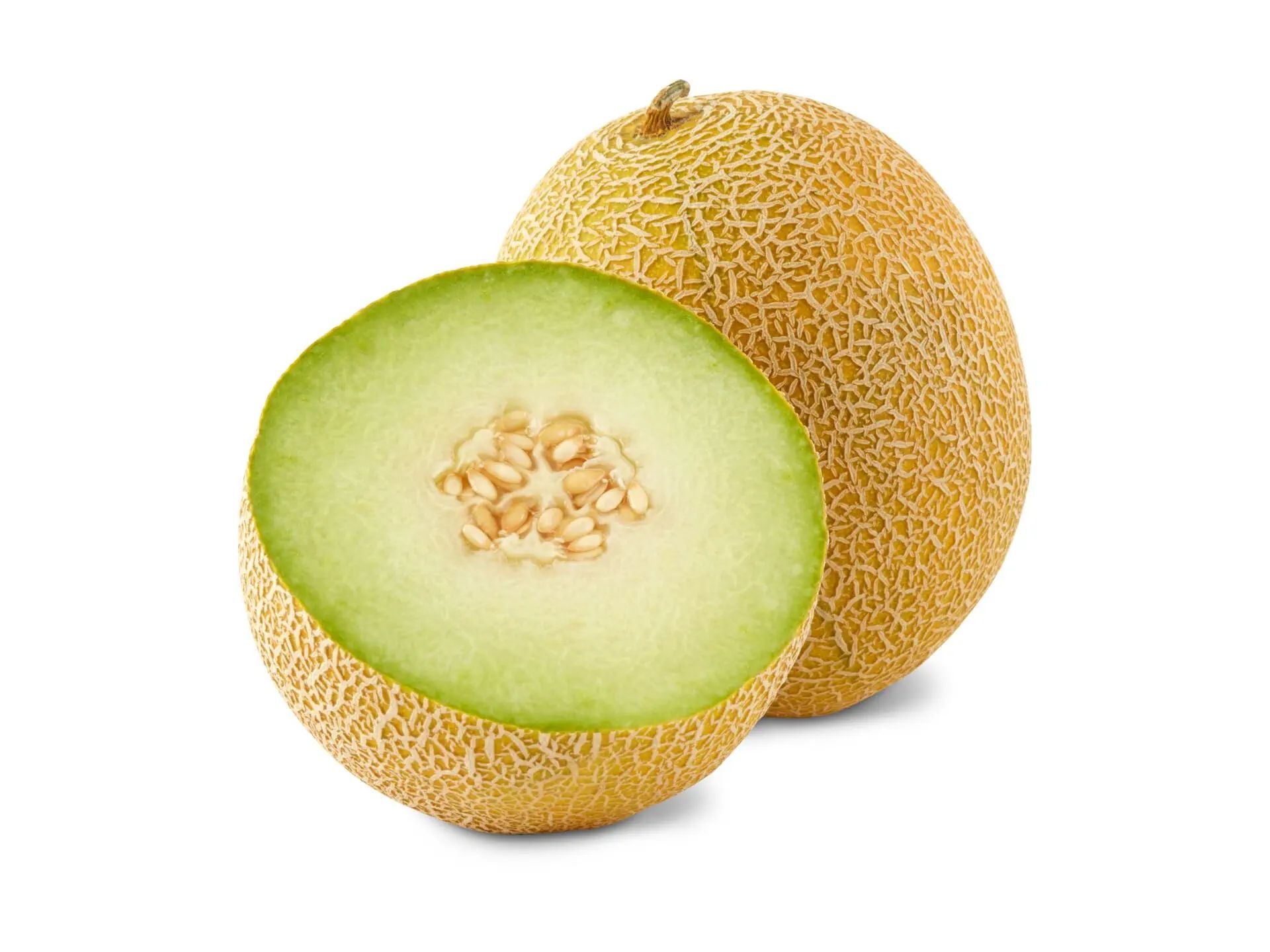 Melone galia