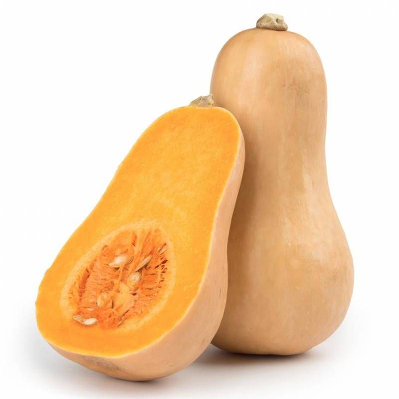 Zucca lunga