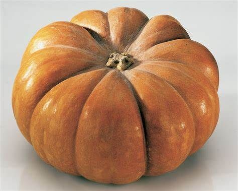 Zucca moscata