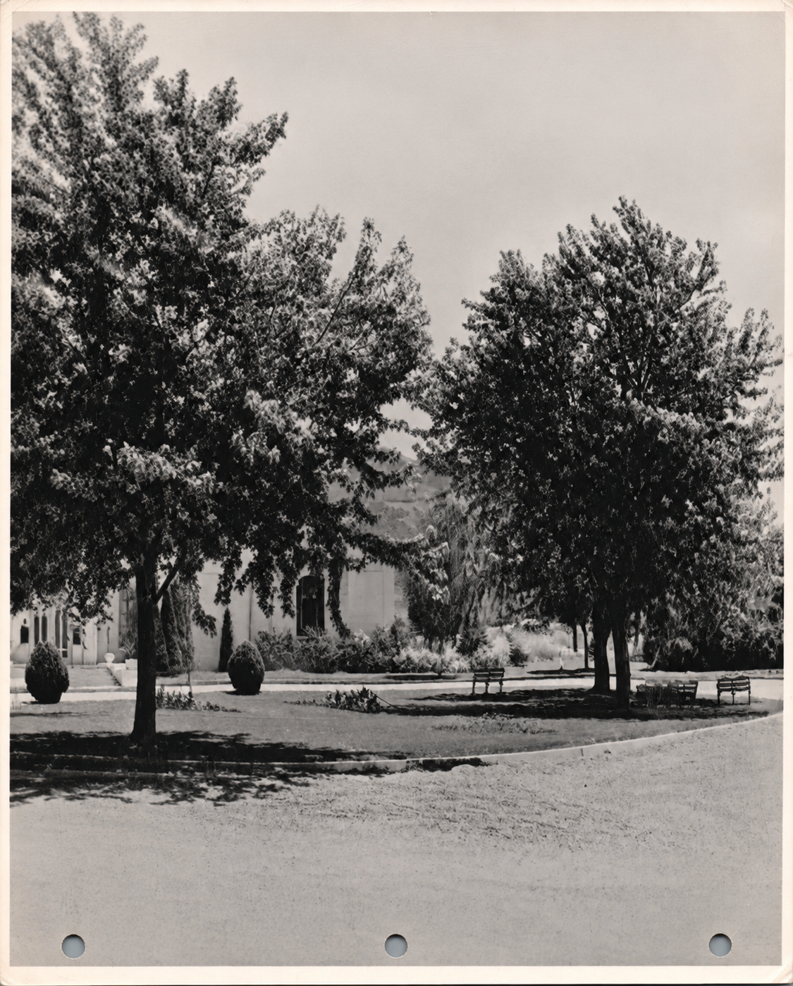 Tree-lined courtyard with benches and a building in the background, seen in black and white.