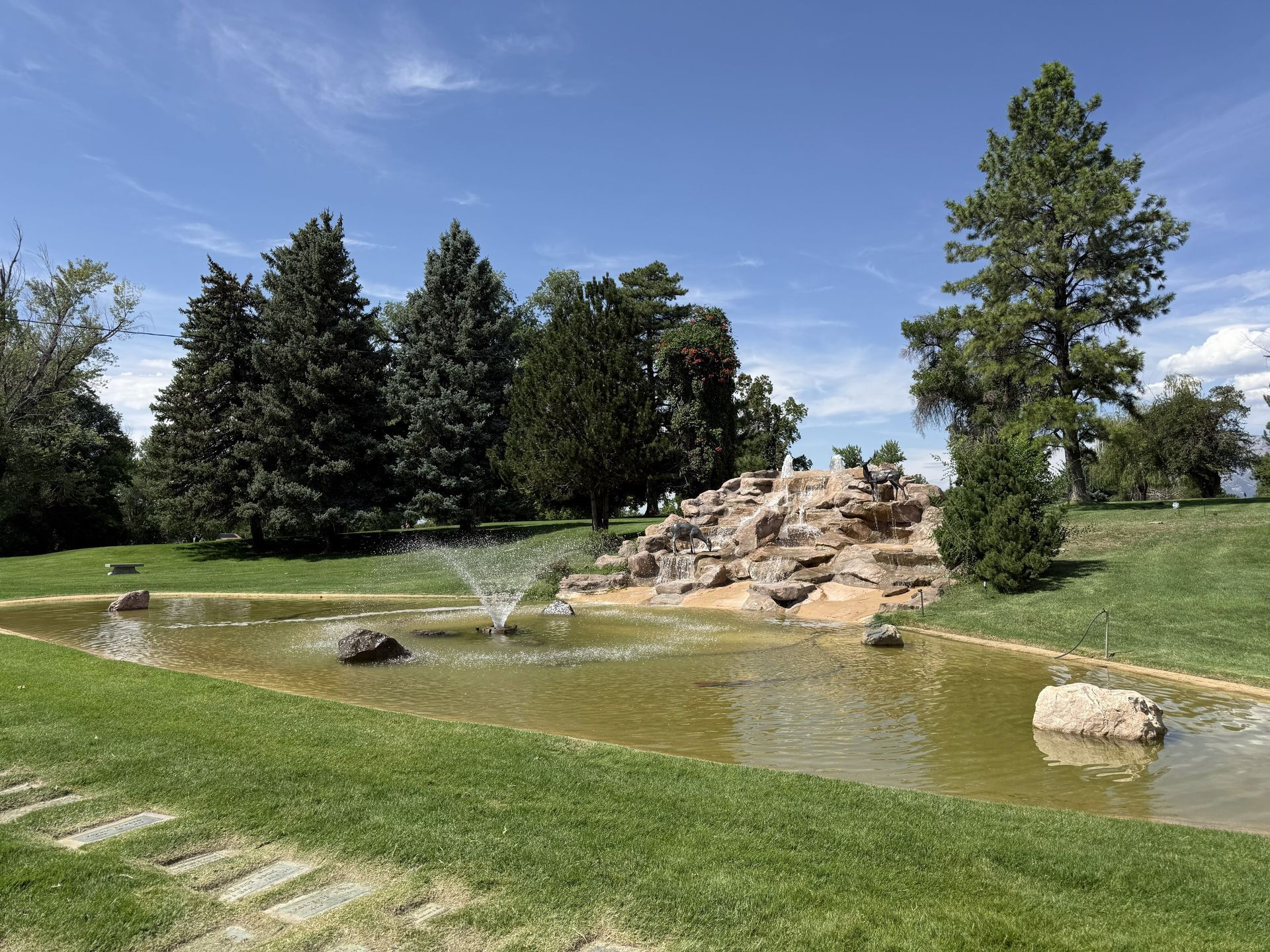 Pond with rocks and a small waterfall in a grassy park, surrounded by trees under a clear blue sky