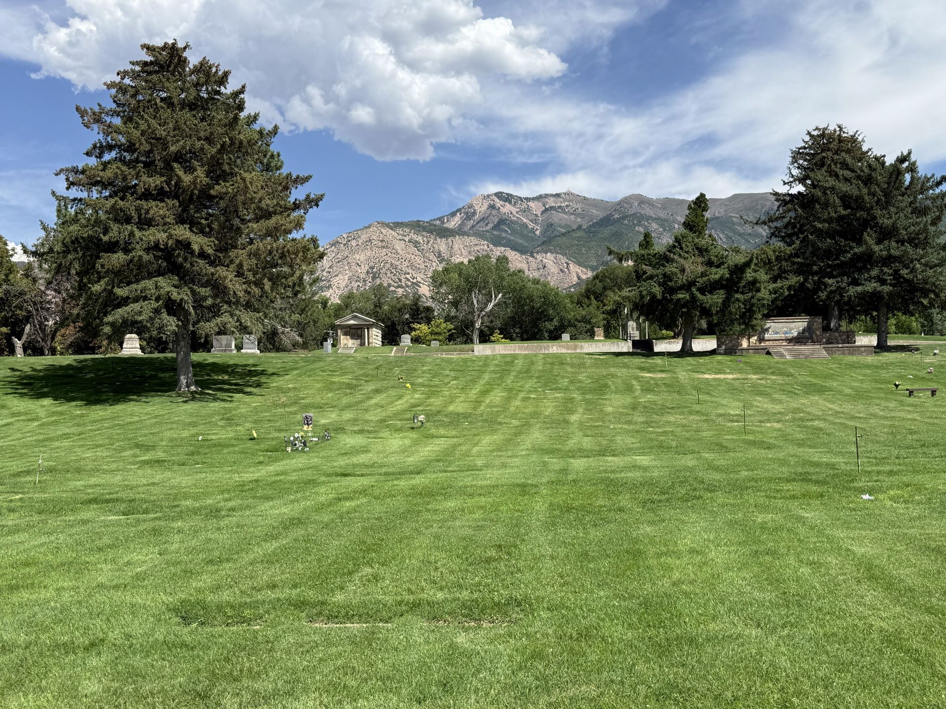 Grassy park with trees and mountains under a partly cloudy sky