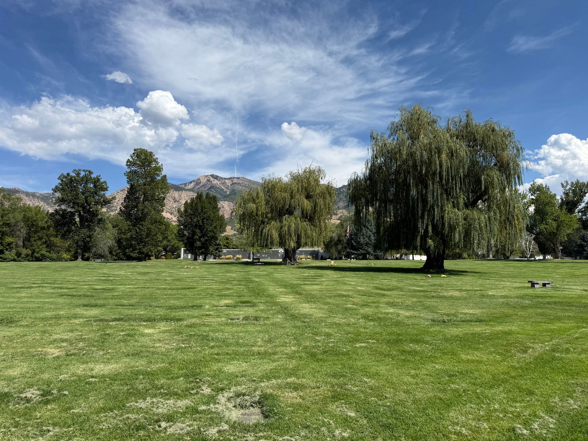 Sunny park with green lawn, tall trees, and mountains under a cloudy blue sky