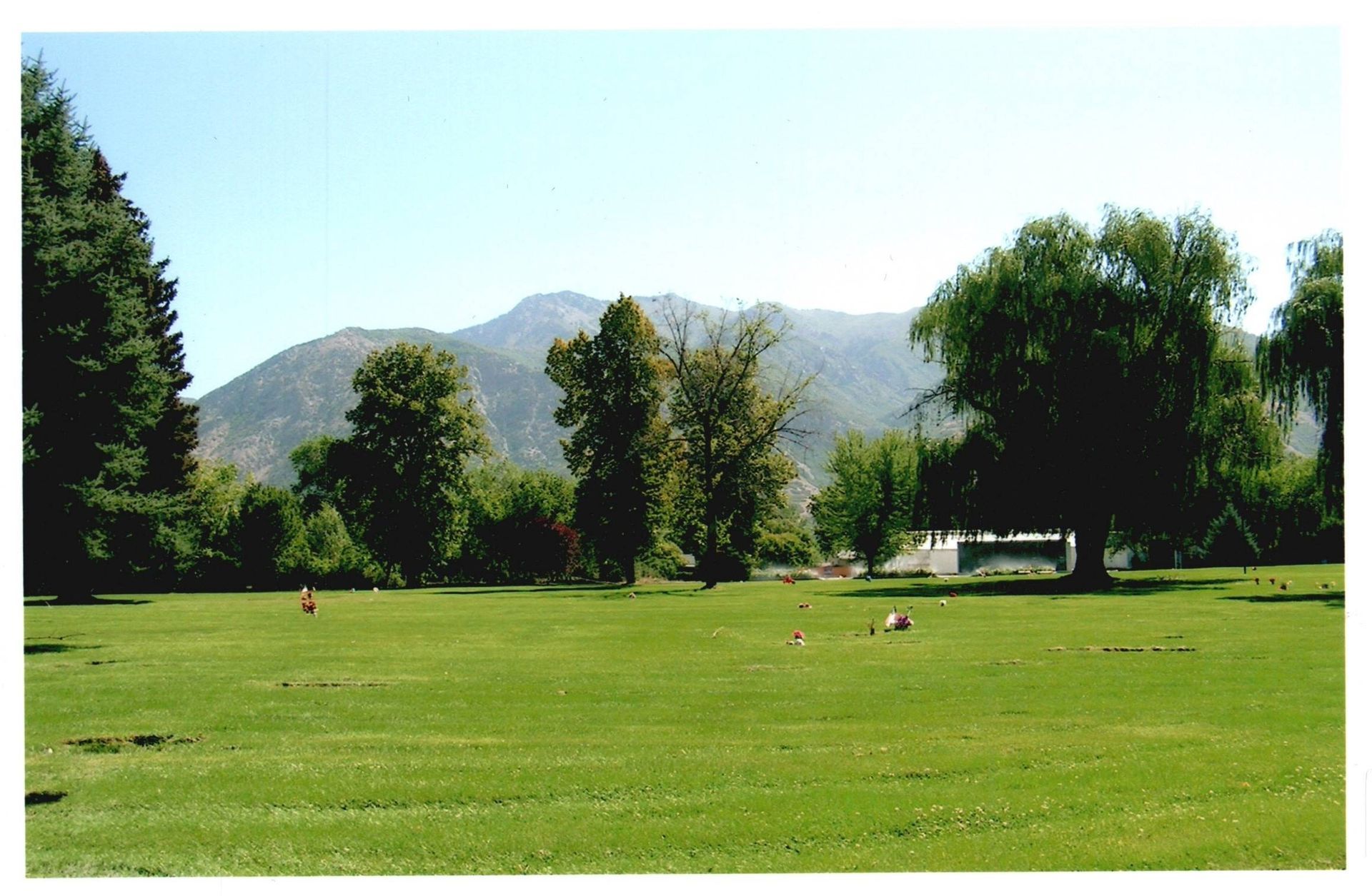 Open grassy park with scattered trees and distant mountains under a clear sky