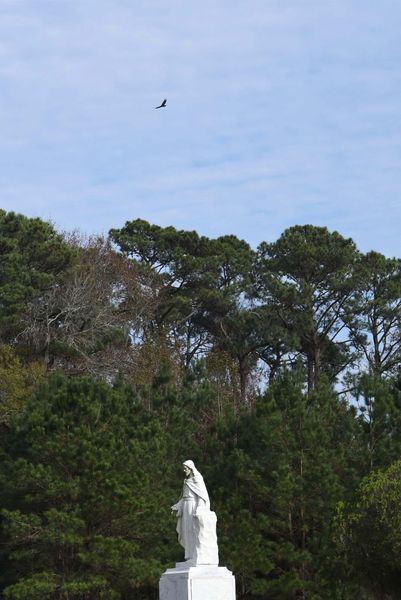 White statue among trees under a blue sky with a small bird overhead