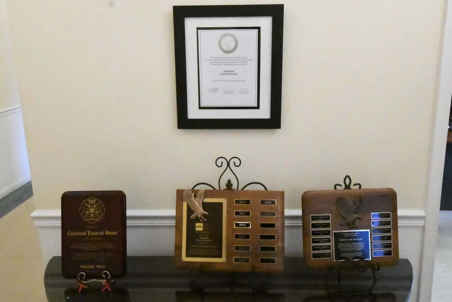 Three awards and a framed certificate displayed on a shelf against a white wall.
