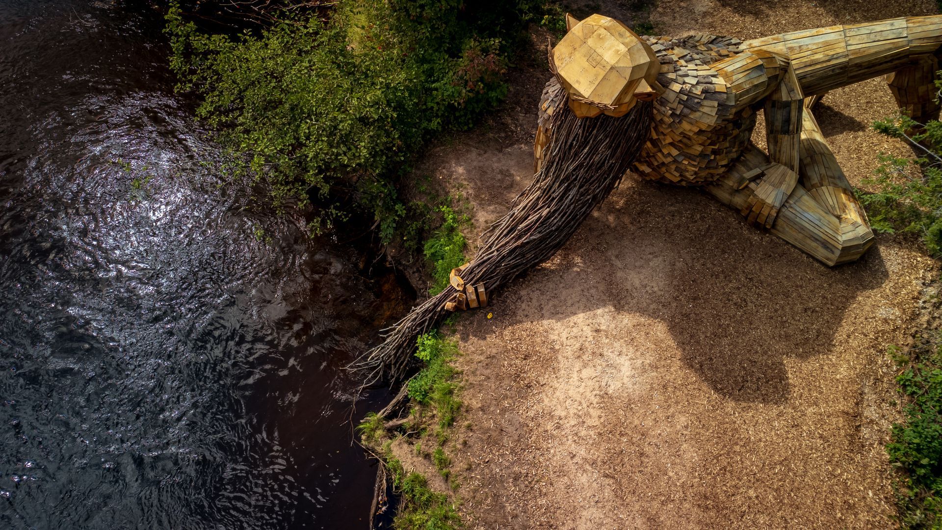 an aerial view of a tree stump next to a river .