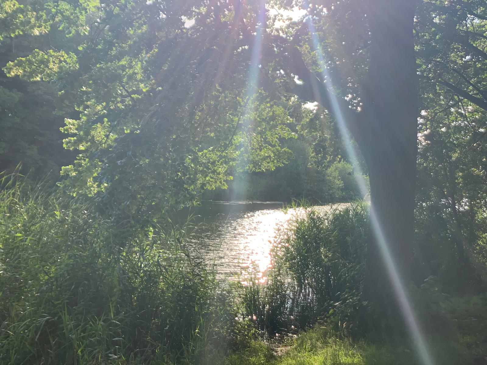 Wandelcoaching
