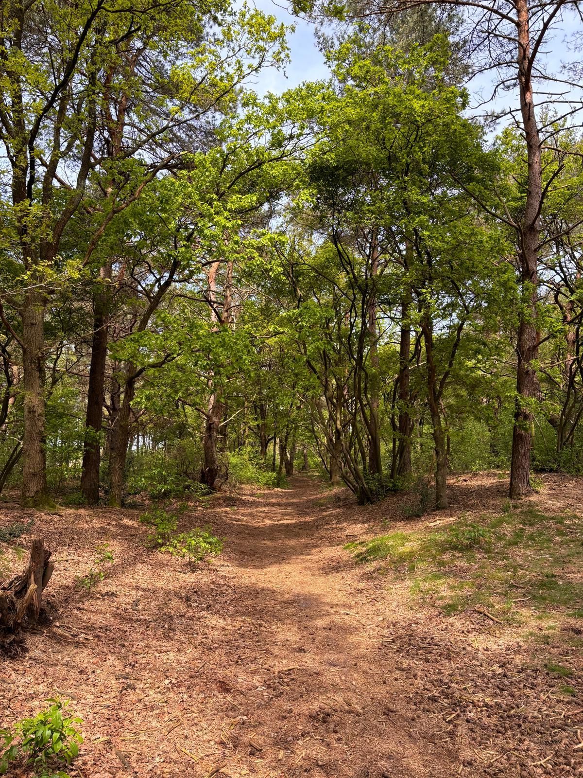 Wandelcoaching