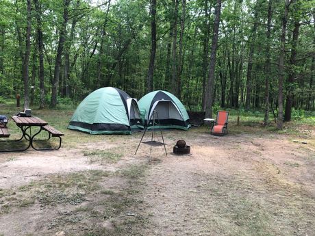 There are two tents and a picnic table in the middle of the woods.