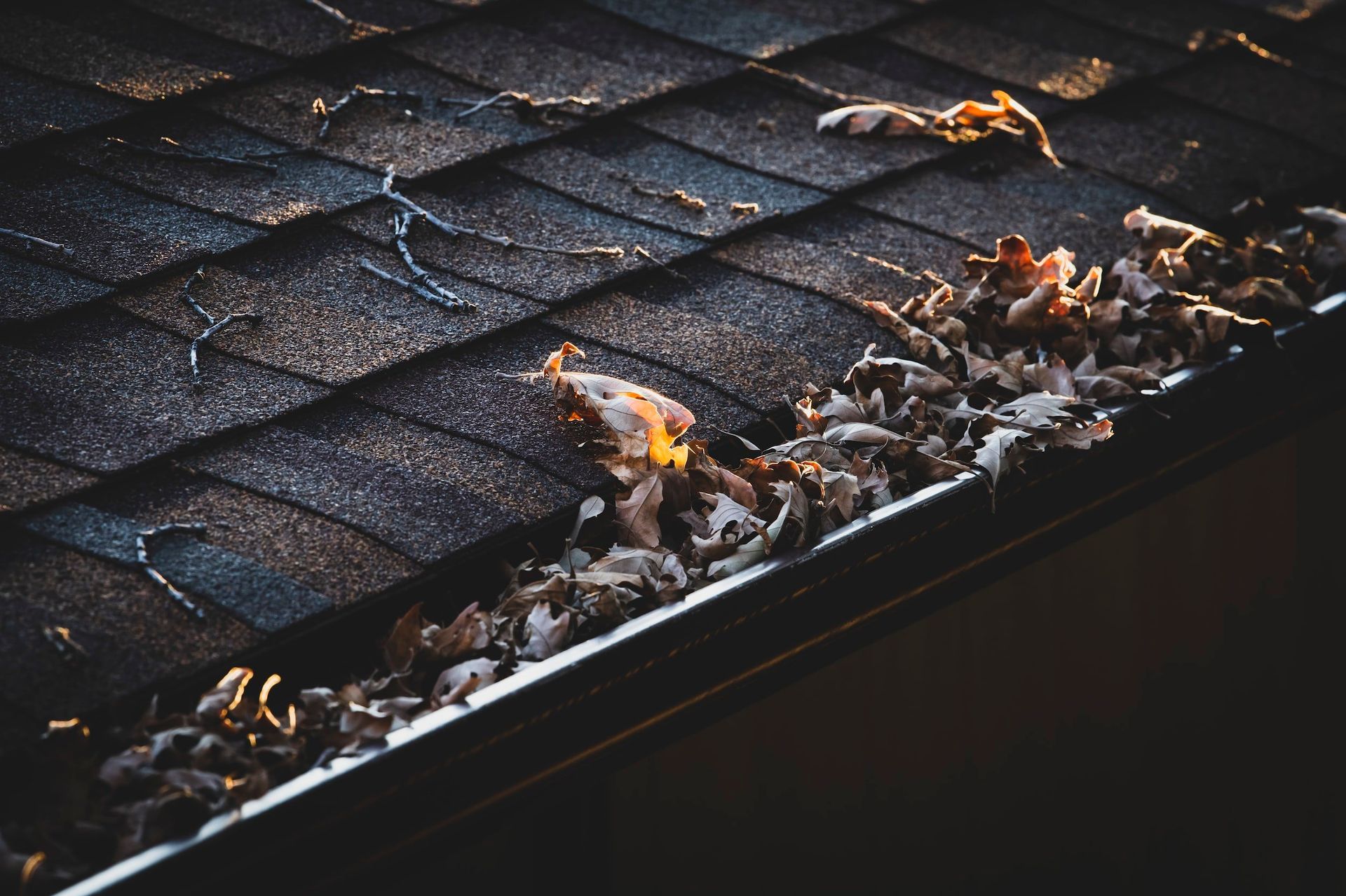 Leaves scattered along a dark roof gutter beneath blue-gray shingles