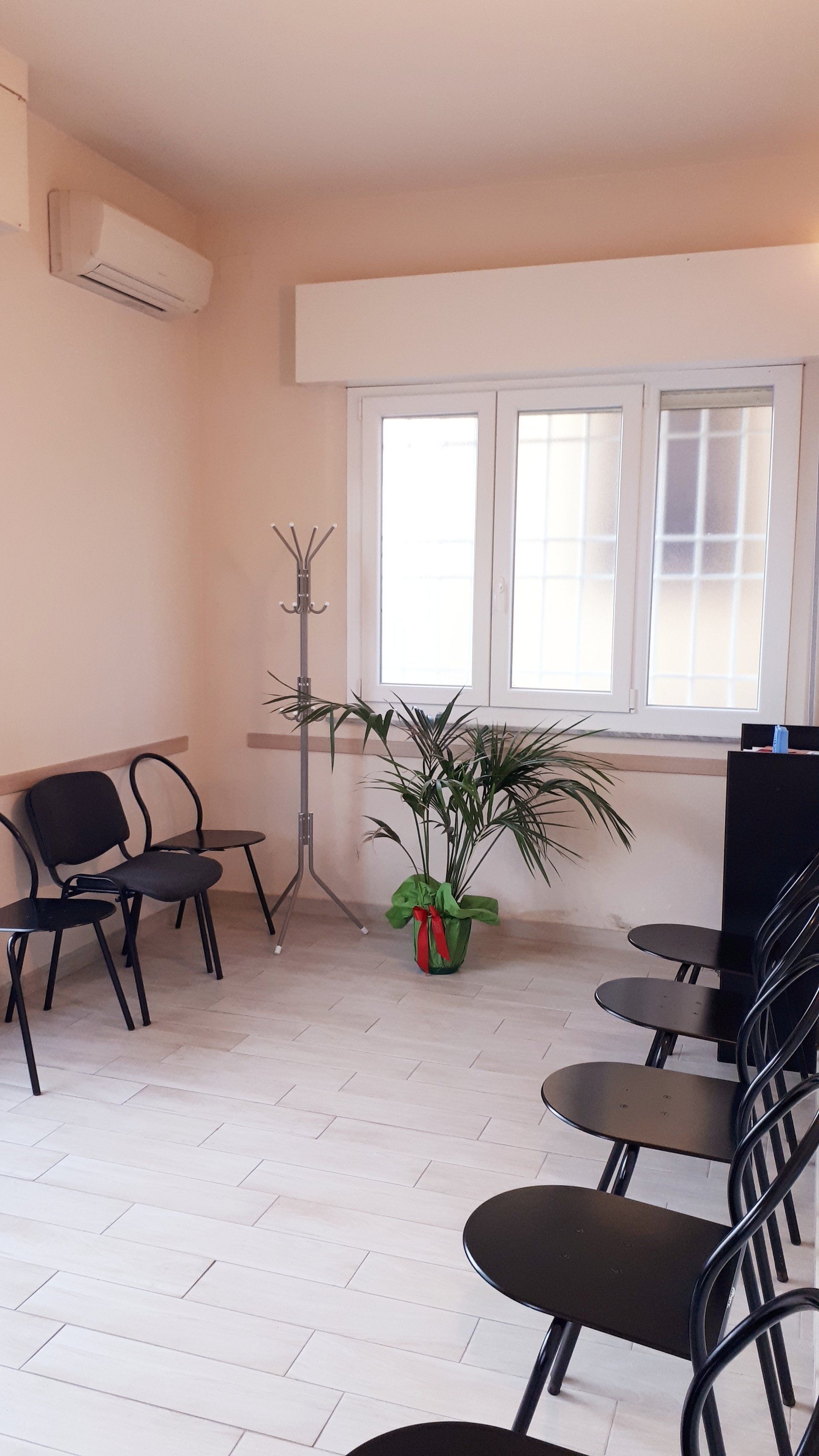 Piccola sala d’attesa con sedie nere, pareti bianche, una finestra e una pianta in vaso al centro.